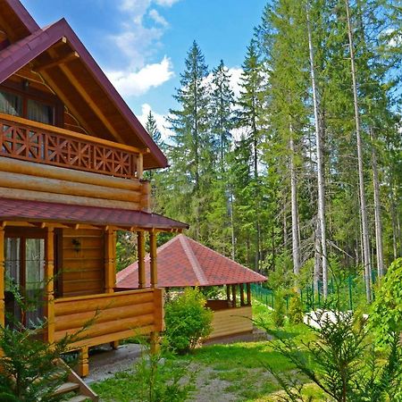Knyazhyi Dvir Apartman Fenyves Kültér fotó